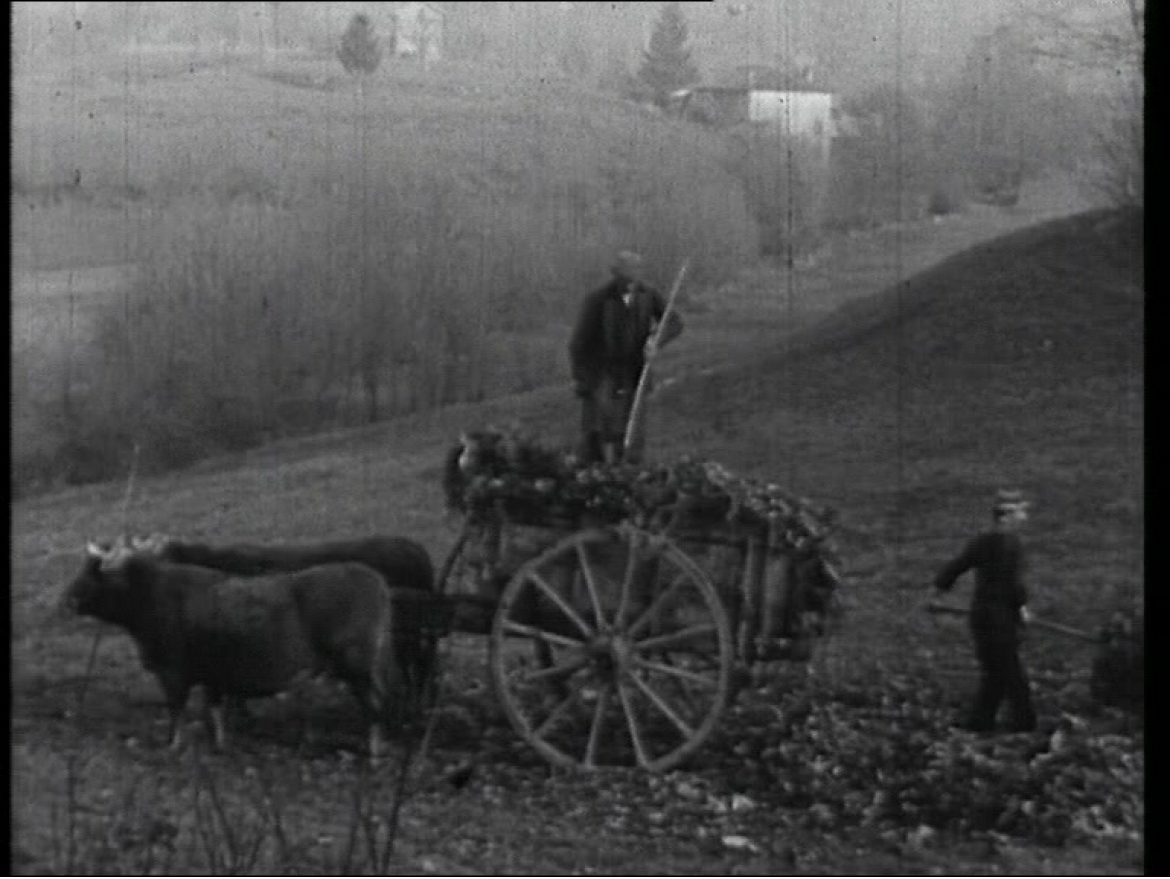 "Ceux des Champs" au 15e Rendez-vous de l'histoire de Blois